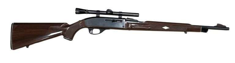 Remington Nylon 66 .22LR