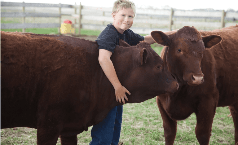 1/4 Beef (Ready mid August Processing Donated by B&B Locker)