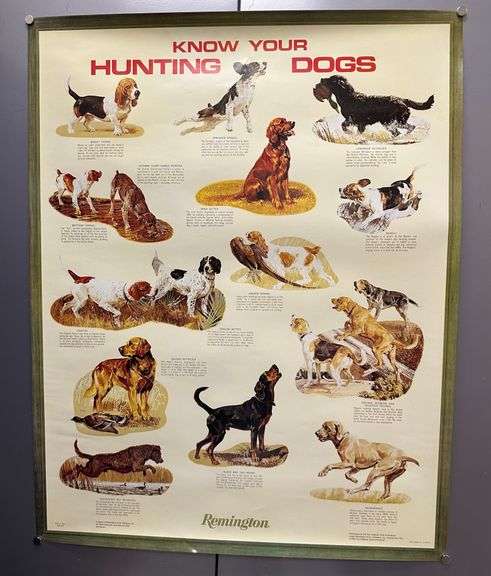 Remington - Know Your Hunting Dogs - Poster