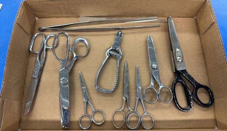 Assorted Scissors