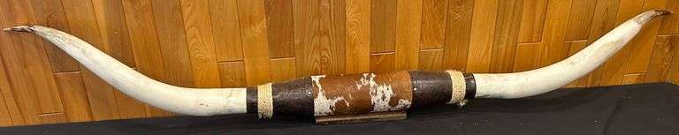 Longhorn Horns Mounted Western Wall Decor - 85” Wide!