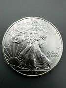 2015 American Silver Eagle Coin, 1 oz