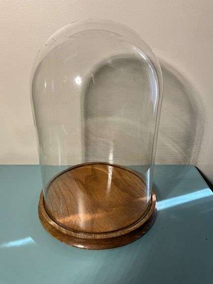 Glass Dome Display Case with Wooden Base