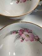 Bavaria Germany ‘Santa Rosa’ Porcelain Dinnerware, Partial Set for 11
