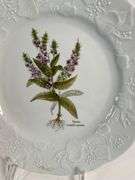 Set of Four Dansk International Designs 9.5” Botanical Porcelain Plates