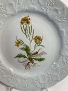 Set of Four Dansk International Designs 9.5” Botanical Porcelain Plates