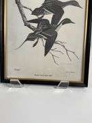 Wood-Slice Frame With Duck Print and Framed 1967 ‘Ducks Unlimited’ Pintail Illustration