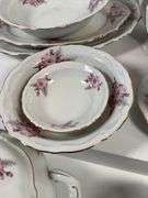 Bavaria Germany ‘Santa Rosa’ Porcelain Dinnerware, Partial Set for 11