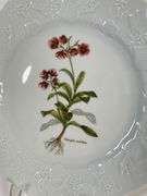 Set of Four Dansk International Designs 9.5” Botanical Porcelain Plates