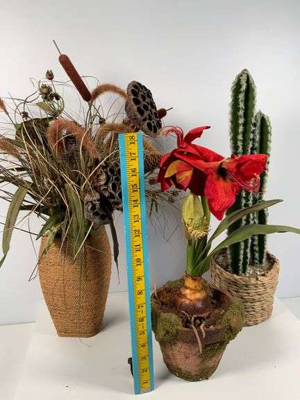 Artificial Plants in Various Pots, Tallest is 24 Inches