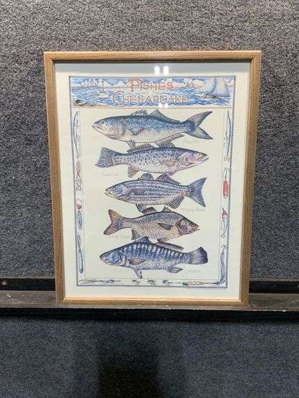 Framed Print ‘Fishes of the Chesapeake’ by Ann Chenoweth