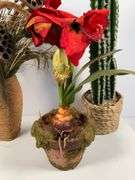 Artificial Plants in Various Pots, Tallest is 24 Inches