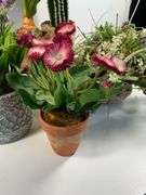 Artificial Plants in Various Pots, Tallest is 24 Inches