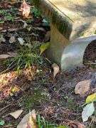 Concrete Outdoor Bench with ‘Do Drop In’ Inscription