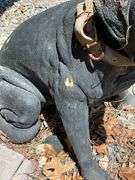 Black Outdoor Dog Statue, Approx. 28 Inches Tall by 32 Inches Long