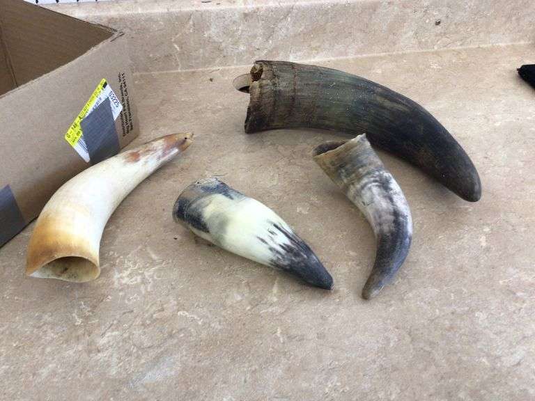 4 COW/BULL HORNS - Currie Auction Service