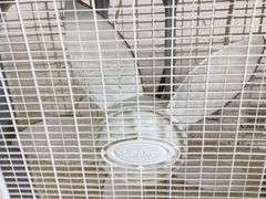 LASKO BOX FAN-WORKS