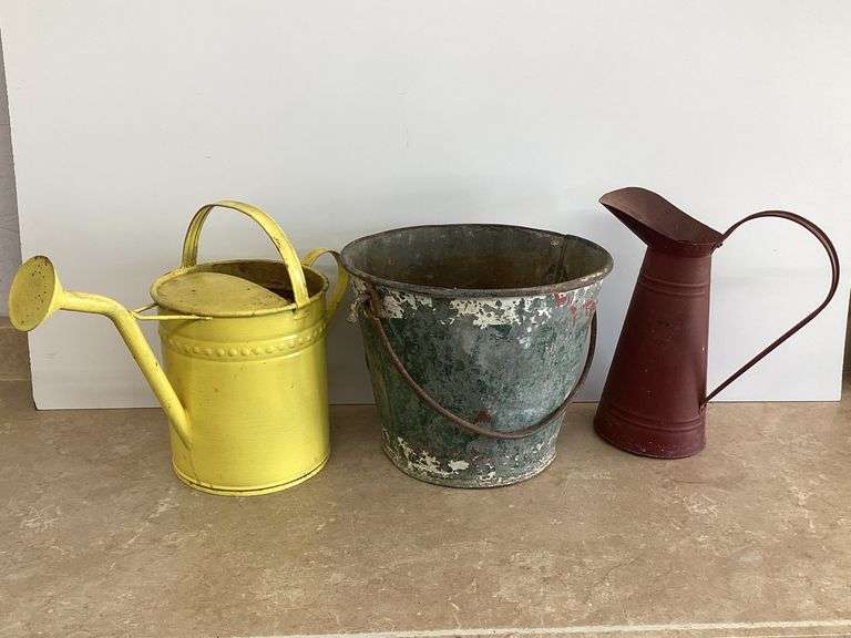 GALVANIZED BUCKET & WATERING CANS