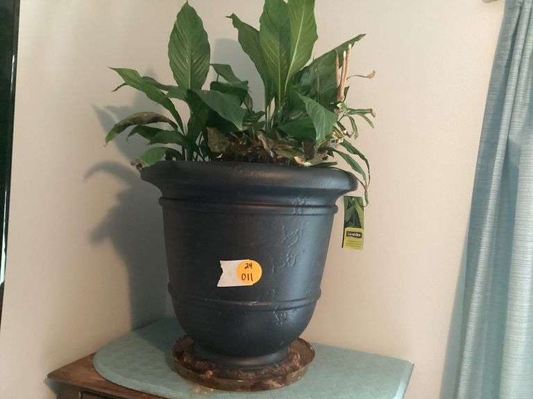 POTTED PLANT