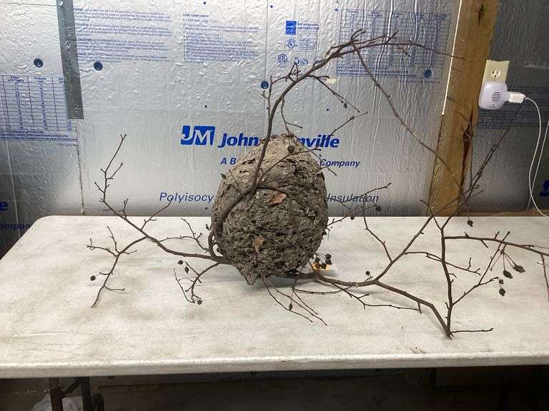 BEEHIVE