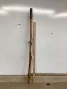 WALKING STICK