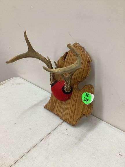 6 POINT DEER ANTLERS ON MICHIGAN PLAQUE
