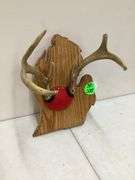 6 POINT DEER ANTLERS ON MICHIGAN PLAQUE