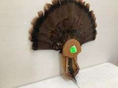 TURKEY TAIL W/DISPLAY