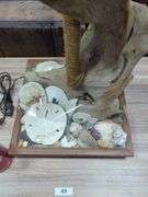 MCM Beachcombing Themed Lamp, Some Loose Pieces