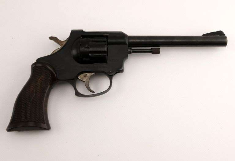 [Regulated] Firearms International Corp the Regent Revolver in 22lr