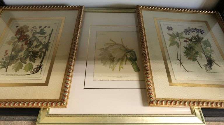 (3) Framed Botanical Prints
