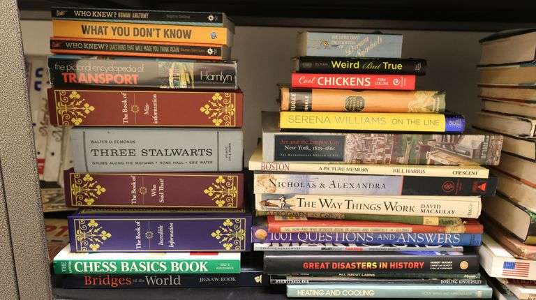 Lot of Books From Chess Basics to Dennis Rodman