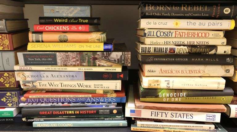 Lot of Books From Chess Basics to Dennis Rodman