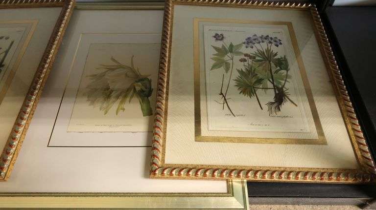 (3) Framed Botanical Prints