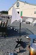 *NO STORAGE* 1566 Ship Weathervane, Propane Cooker and Pot, Flower Pots, Etc.