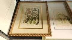 (3) Framed Botanical Prints