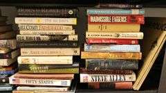Lot of Books From Chess Basics to Dennis Rodman