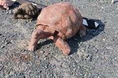 *NO STORAGE* 3 Concrete Turtle Garden Sculptures