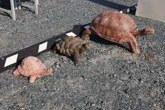 *NO STORAGE* 3 Concrete Turtle Garden Sculptures