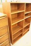 Hundevad Danish MCM Teak Bookcase