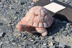 *NO STORAGE* 3 Concrete Turtle Garden Sculptures