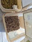 (2) Buckets of 3x9 Exterior Screws