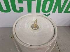 (2) Spud Mackenzie Ice Buckets