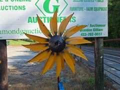 Sun Flower Spinner