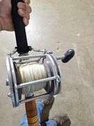 (2) PENN Senator Reels with Rods