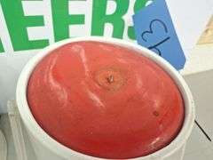 (2) Spud Mackenzie Ice Buckets