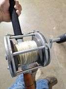 (2) PENN Senator Reels with Rods