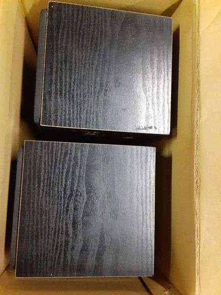 Proton P303 Loud Speakers