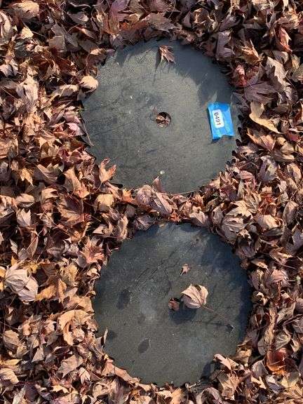 (2) Circular Saw Blades