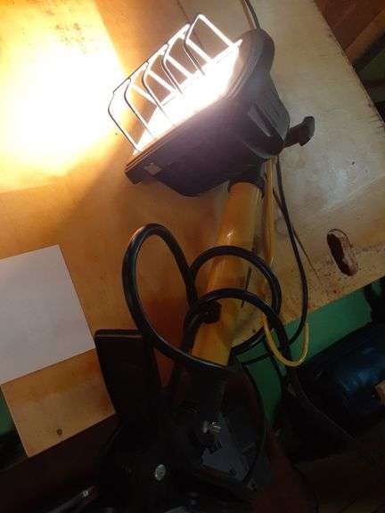Assorted Lights, Bug Zapper & Desk Lamp